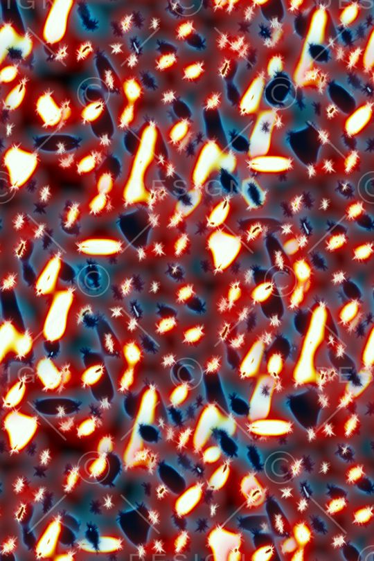 抽象男装印花华亿平台图片