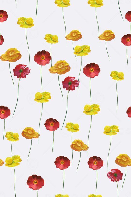 大牌风印花华亿平台图片