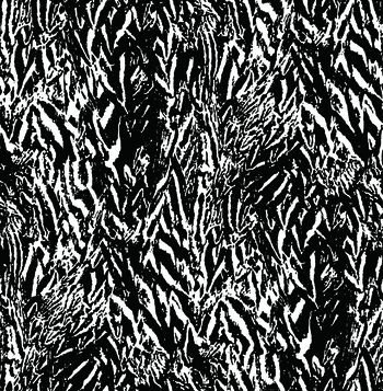 男装印花华亿平台图片