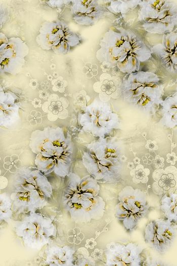 1392091-dear-20341-1