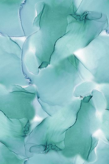 1392447-2060x40034-1