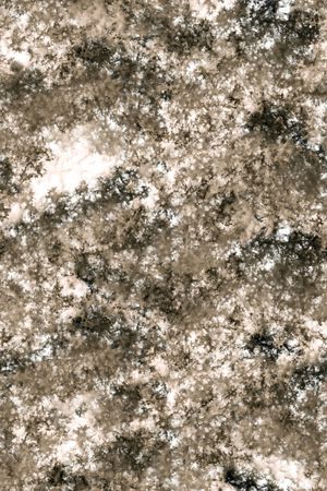 抽象男装印花华亿平台图片