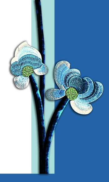 女装定位花印花华亿平台图片