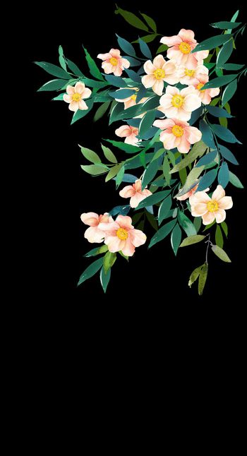 1393141-2021-01-05-2-