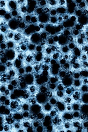 水彩印花华亿平台图片