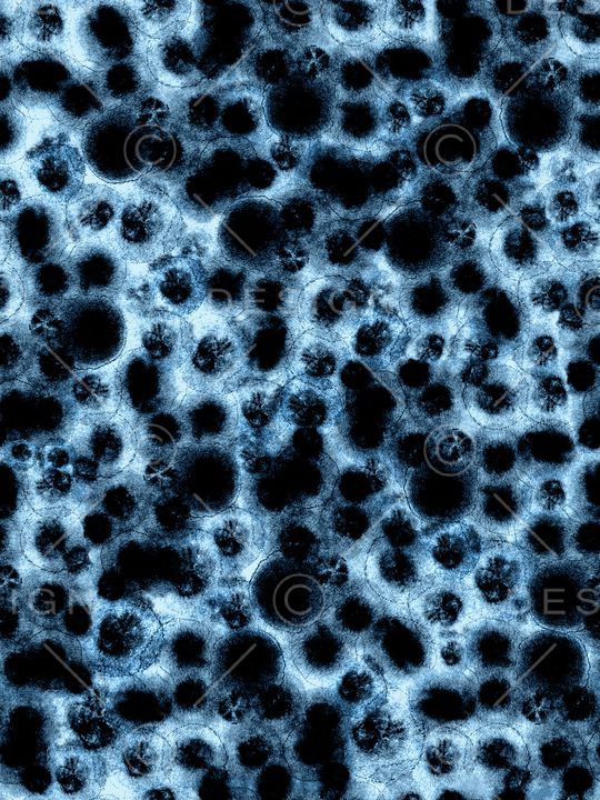 水彩印花华亿平台图片