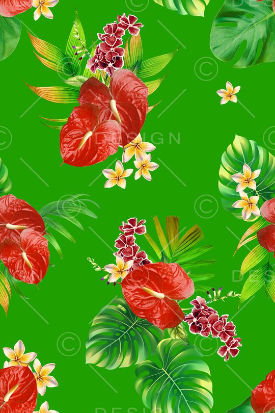 大牌风印花华亿平台图片