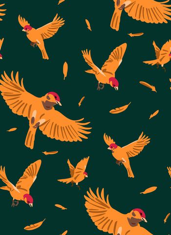 羽毛印花华亿平台图片