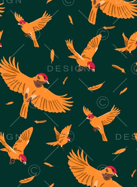 羽毛印花华亿平台图片