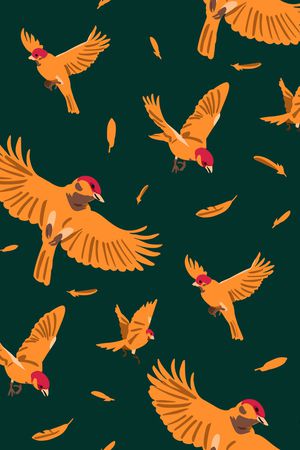 羽毛印花华亿平台图片