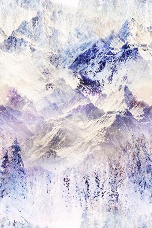 男装印花华亿平台图片