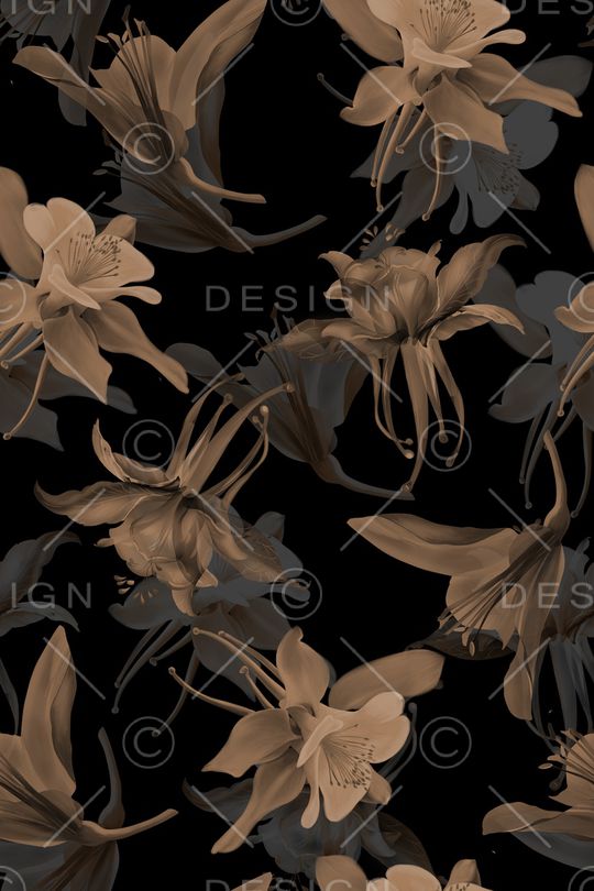 黑底花卉印花华亿平台图片