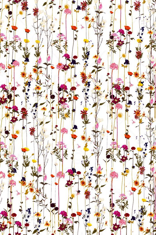 大牌风印花华亿平台图片