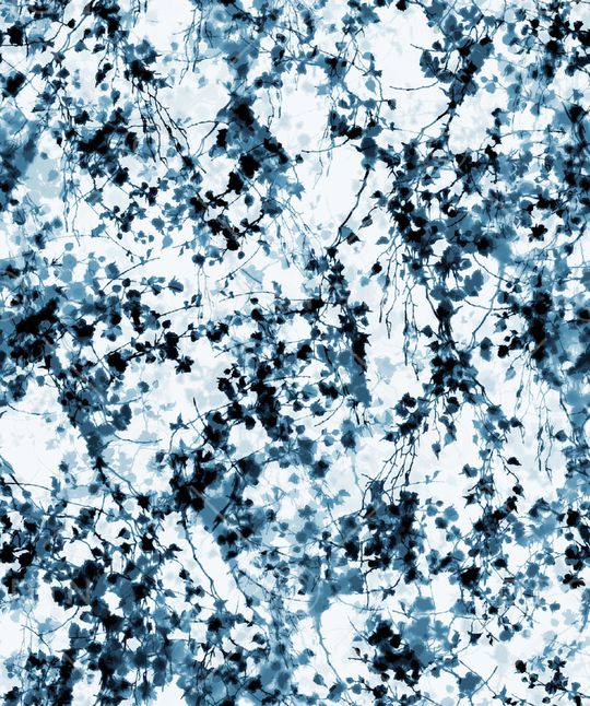 时尚印花华亿平台图片