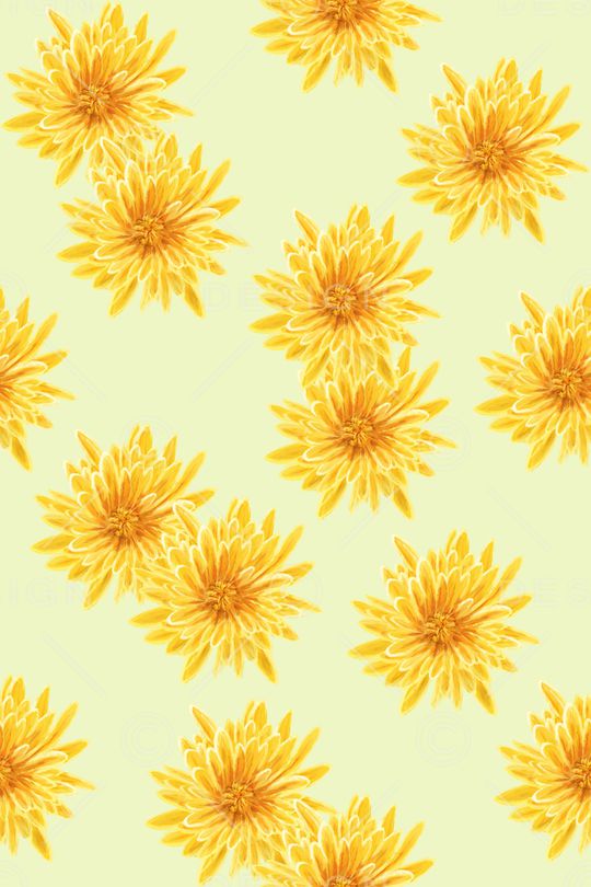 菊花印花华亿平台图片