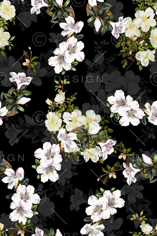 黑底花卉印花华亿平台图片