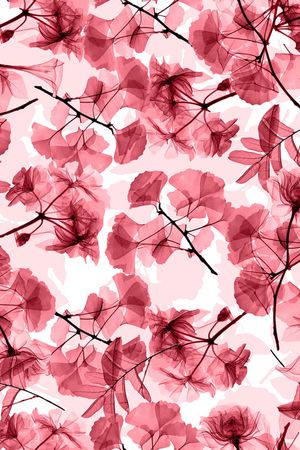 抽象花卉印花华亿平台图片