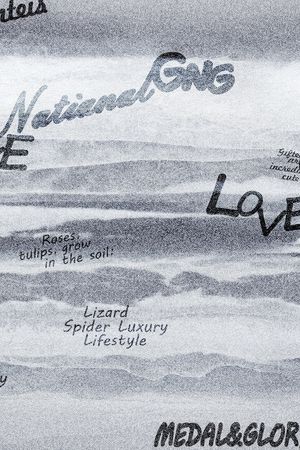 字母印花华亿平台图片