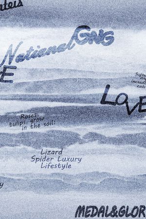 字母印花华亿平台图片