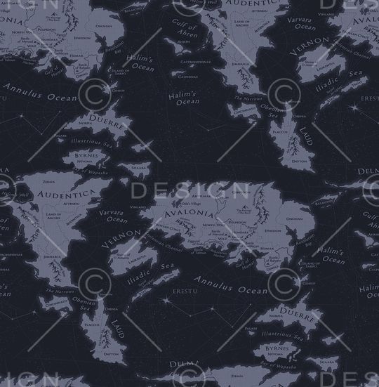 地图印花华亿平台图片