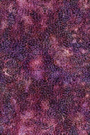 大牌风印花华亿平台图片