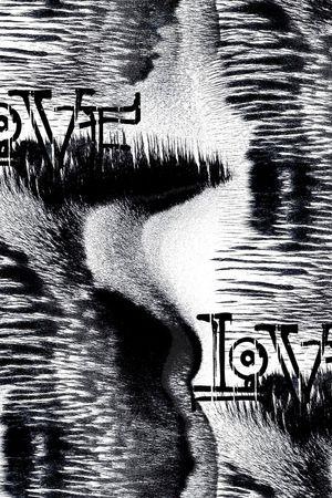 字母印花华亿平台图片