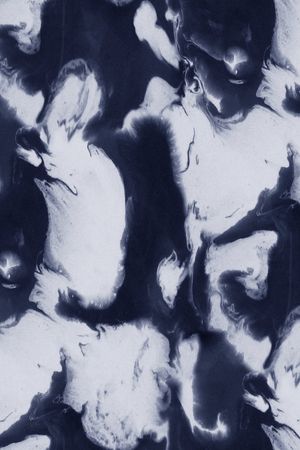 ALexander Wang印花华亿平台图片