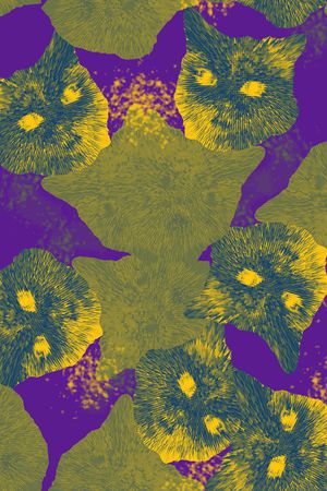 猫印花华亿平台图片