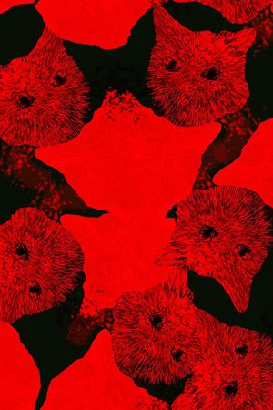 猫印花华亿平台图片