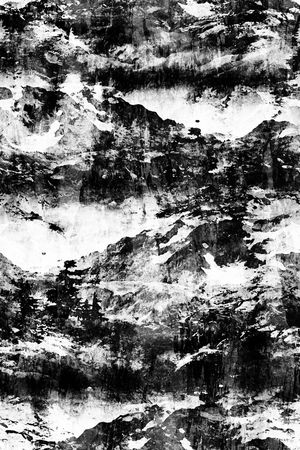 男装满版花印花华亿平台图片