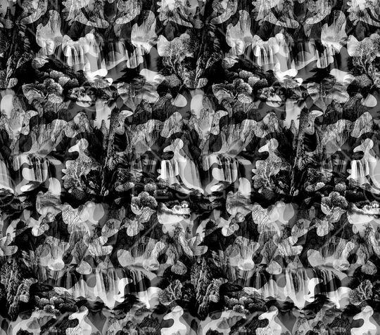 数码华亿平台印花华亿平台图片