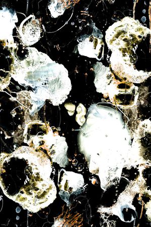 羽绒服印花华亿平台图片