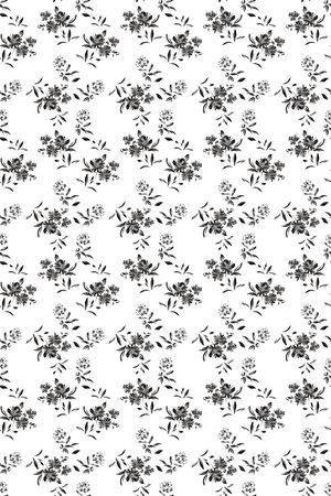 大牌风印花华亿平台图片