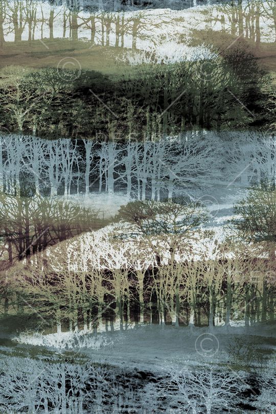 树林印花华亿平台图片