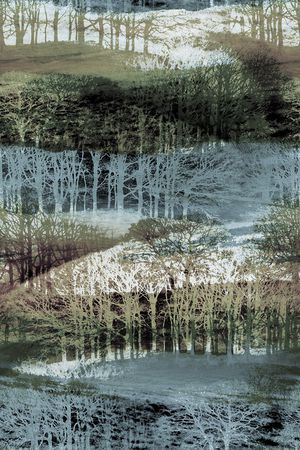 树林印花华亿平台图片