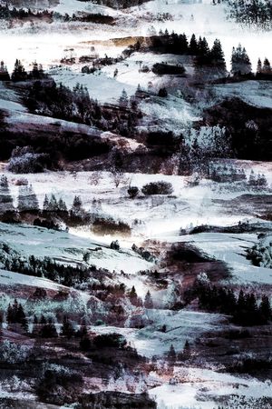 男装满版花印花华亿平台图片