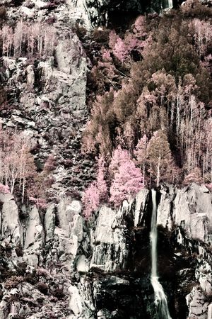 男装印花华亿平台图片