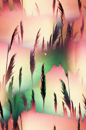 芦苇印花华亿平台图片