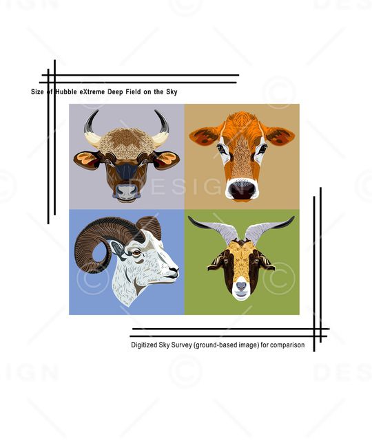 牛印花华亿平台图片