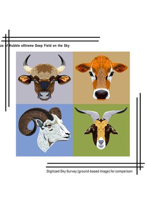 牛印花华亿平台图片