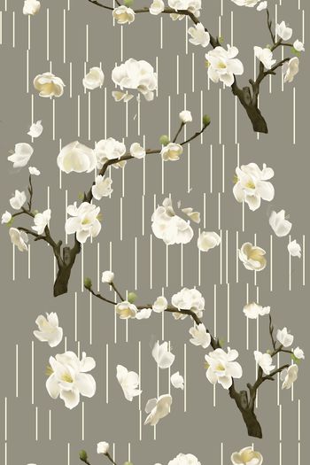 1399536-层次分割