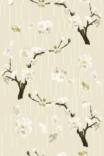 1399537-层次分割