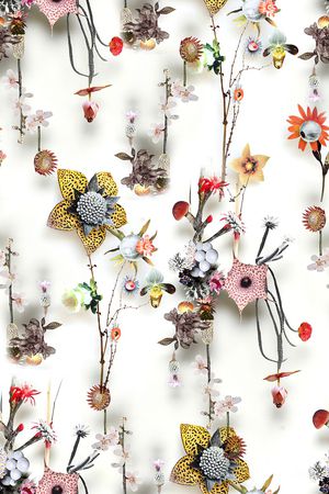 时尚印花华亿平台图片