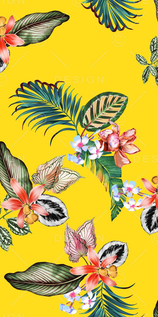 女装印花华亿平台图片