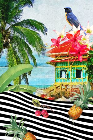 菠萝印花华亿平台图片