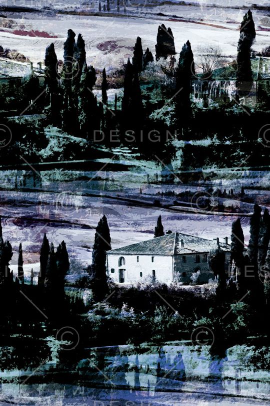 男装满版花印花华亿平台图片