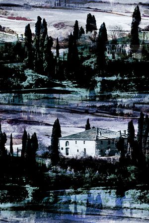 男装满版花印花华亿平台图片