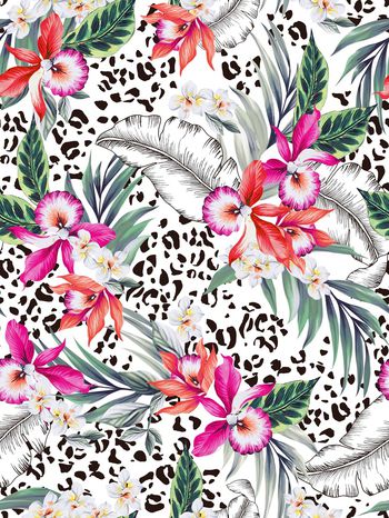 鸢尾花印花华亿平台图片