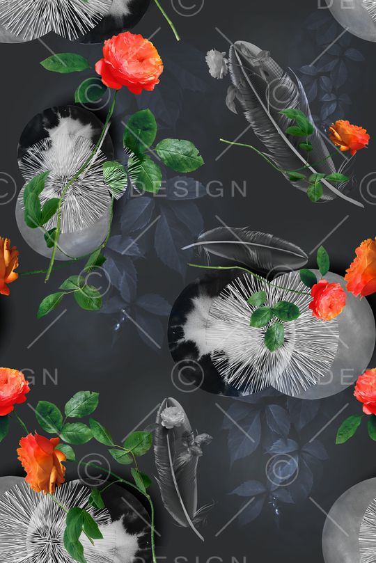 COACH印花华亿平台图片