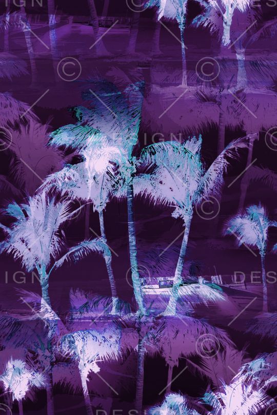 椰子树印花华亿平台图片